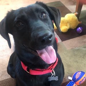 Meet your Posher, Jenny